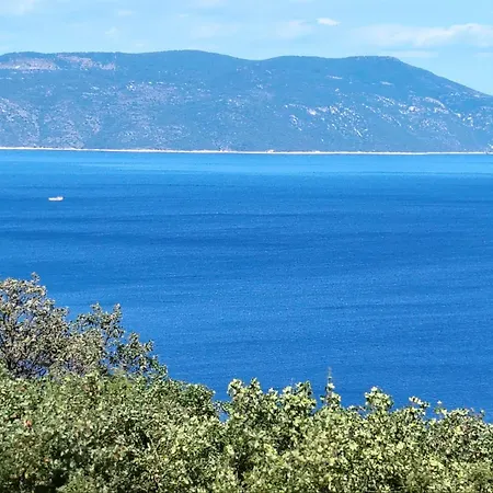 Mirta