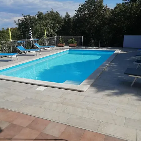 Mirta